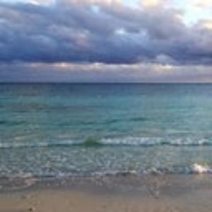 Meet your Posher, Tabitha